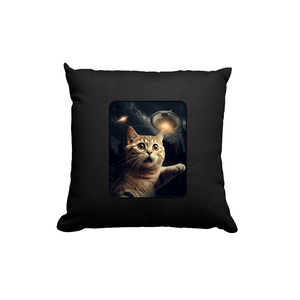 Kissen UFO Cat - Schwarzer - Kaffee